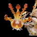 Product image thumbnail 2