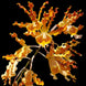 Product image thumbnail 4