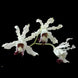 Product image thumbnail 2