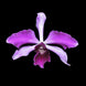 Product image thumbnail 2
