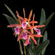 Product image thumbnail 4