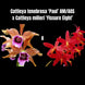 Product image thumbnail 3
