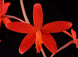 Product image thumbnail 7
