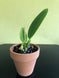 Product image thumbnail 6