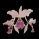 Product image thumbnail 6