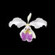 Product image thumbnail 5