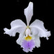 Product image thumbnail 1