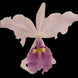 Product image thumbnail 3