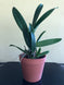 Product image thumbnail 9