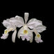 Product image thumbnail 4
