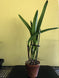 Product image thumbnail 7