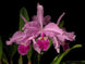 Product image thumbnail 1
