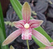 Product image thumbnail 2
