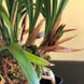 Product image thumbnail 9