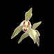 Product image thumbnail 2