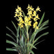 Product image thumbnail 3
