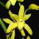Product image thumbnail 1