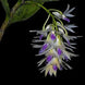 Product image thumbnail 1