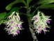 Product image thumbnail 3