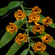 Product image thumbnail 4
