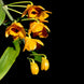 Product image thumbnail 3