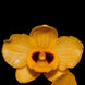 Product image thumbnail 1