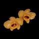 Product image thumbnail 2