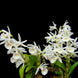 Product image thumbnail 3