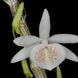 Product image thumbnail 1