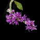 Product image thumbnail 3