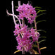 Product image thumbnail 4