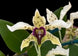 Product image thumbnail 1