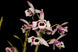 Product image thumbnail 3