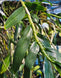 Product image thumbnail 6