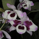 Product image thumbnail 4