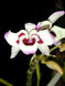 Product image thumbnail 2