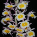 Product image thumbnail 1