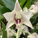 Product image thumbnail 3