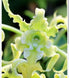 Product image thumbnail 5