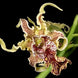 Product image thumbnail 1