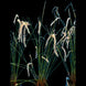 Product image thumbnail 4