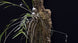 Product image thumbnail 3