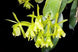 Product image thumbnail 3