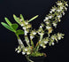 Product image thumbnail 3
