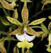 Product image thumbnail 1