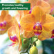 Product image thumbnail 6