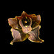 Product image thumbnail 2