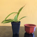 Product image thumbnail 5