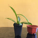 Product image thumbnail 7