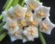 Product image thumbnail 1